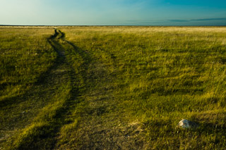 The Pasture Road