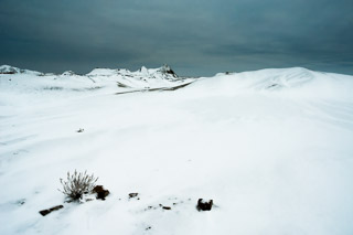 Snowy Expanse