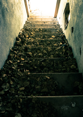 Leaving