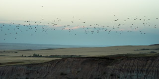 Flight Over the Badlands