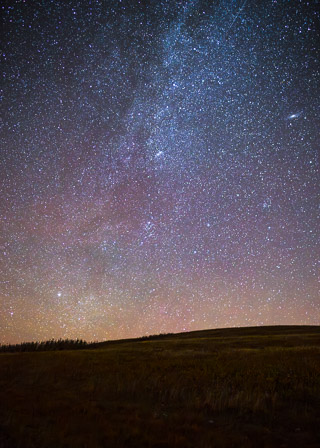 Crowded Sky