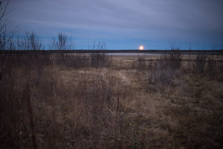 Miquelon under Moonlight