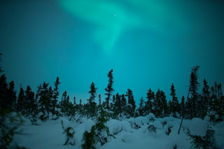 Soft Northern Lights