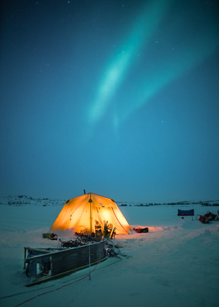 Dogsledding Night