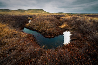 Snow-edged Creek in Grasslands
