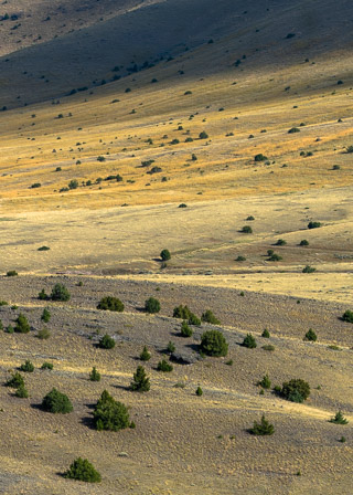 Fanning Landscape