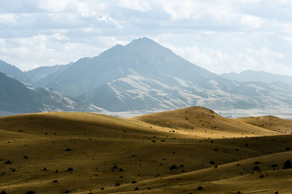 Golden Undulations