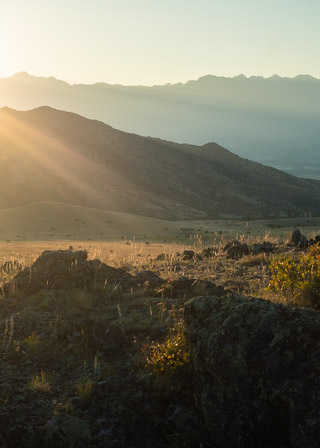 Dry Sunbeams