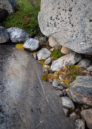 Glacial Grooves in the North