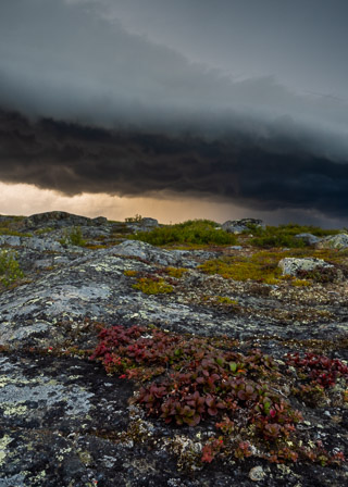 Light Behind Storm Front