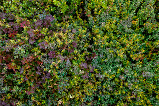 Tundra Textures