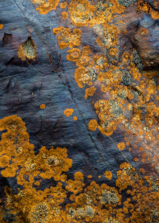 Glacial Polish and Lichen