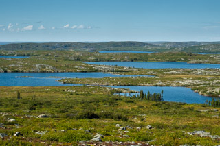 Permafrost Landscape