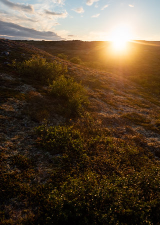 Lighting Tundra Esker