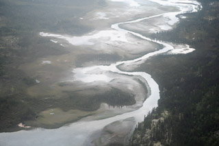Winding Through Taiga
