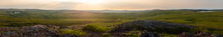 Looking for Caribou
