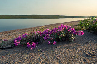 River Beauty on the Lake
