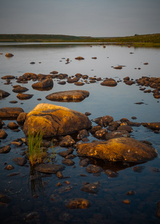 River Rocks Catching the Sun