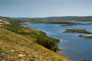 Snake River View from the Esker