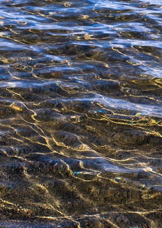 Golden Calligraphy