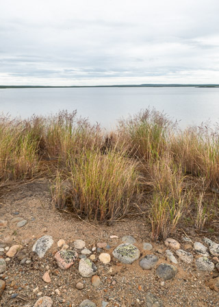 Grassy Esker Top
