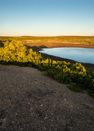 Esker Shadows