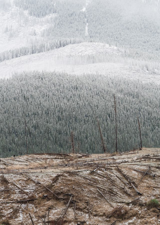 Winter Logging Texutres