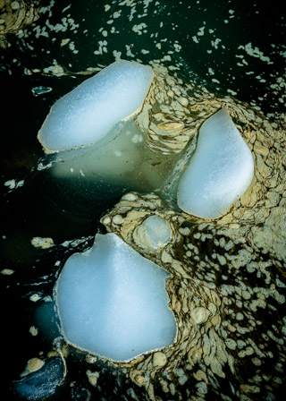 Leeward Foam