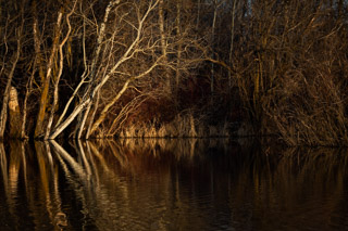 Spring Sets the Waterline
