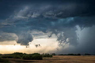 Cloud Character