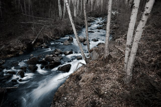 Rushing Spring Stream