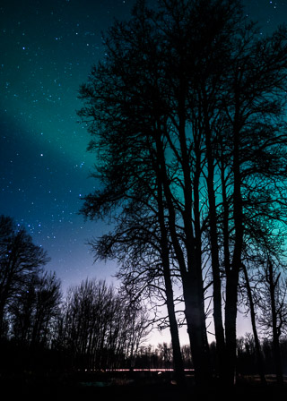 Aurora's Light Touch