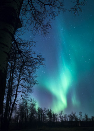 Opening in the Sky