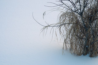 Winter Sketches