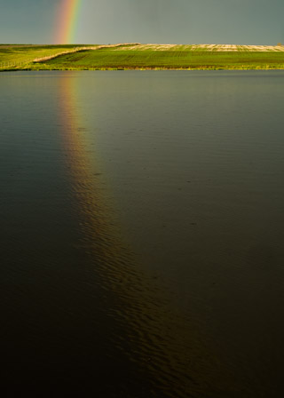 Rainbow Reflected in Prairie Pond
