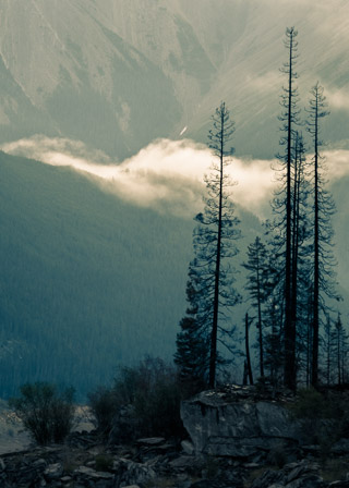 Mist Drifting Through the Valley