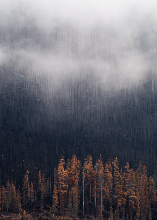 Mist Following Fire