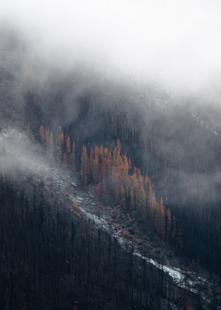 Burned Slope