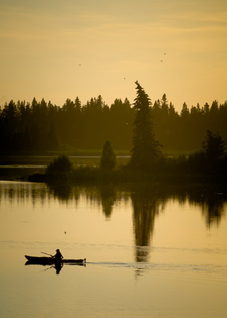 Evening Paddle with Birds