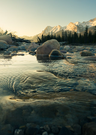 Dawn Movement in the Cline River