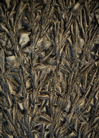Frost-Carved Mud