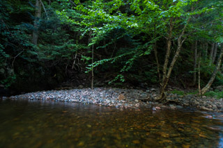 Shaded Pool Below the Falls