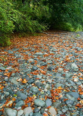 Autumn on the Rocks
