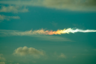 Sundog Highlight