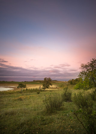 Pastoral Landscape