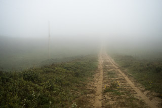 Track into the Mist