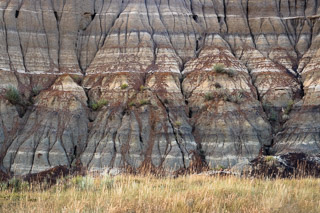 Dry Rivulets