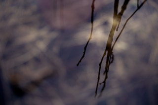 Til the Waters Recede