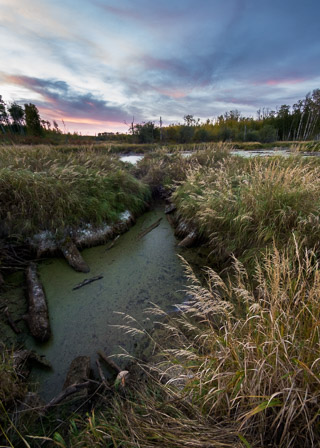 Sunset Canal