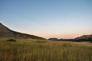 Grassland in the Valley
